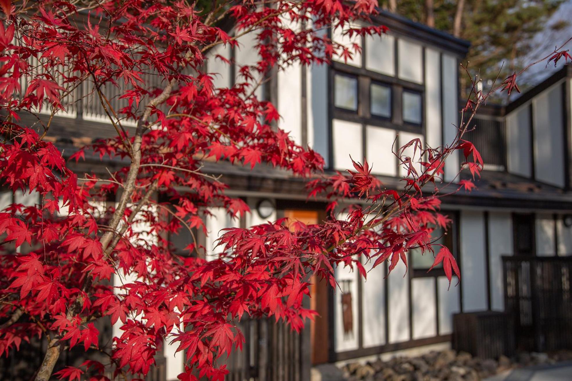 Glamping Villa Hanz Kawaguchiko Fujikawaguchiko Exterior photo